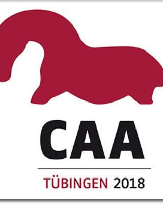 caa-2018-tubingen.jpg